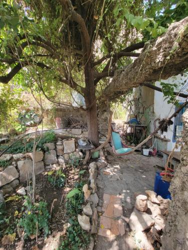 Dārzs, Beit El Asfour - Traditional Home with a Cave in Bālbeka