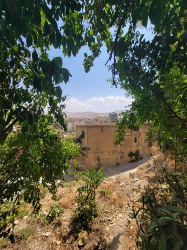 Dārzs, Beit El Asfour - Traditional Home with a Cave in Bālbeka