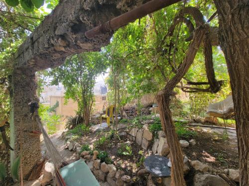 Dārzs, Beit El Asfour - Traditional Home with a Cave in Bālbeka