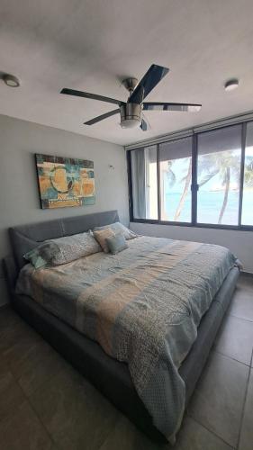 beach front 218 - Cancun - image 2