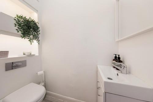 CS Apartments Paddington IV - image 5