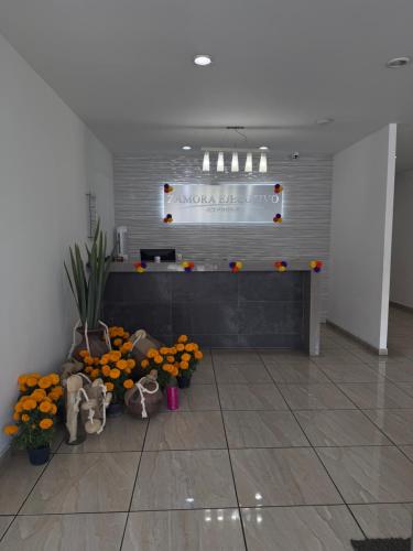 ZAMORA EJECUTIVO EXPRESS