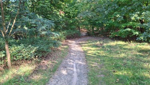 Sports un aktivitātes, Kleines Haus am Wald in Schwielowsee