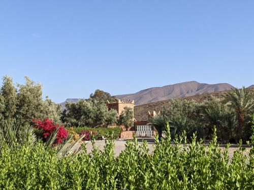 hotel and restaurant kasbah draa in Agdz