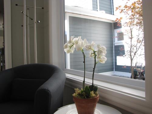 Riverfront Bed and Breakfast in North Vancouver, Canada