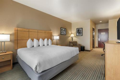 Best Western Shelby Inn & Suites - image 11