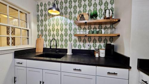 مطبخ, Center of Town! Near Hospital and VSU, Gameroom & Fire-pit, Pet Friendly in Valdosta