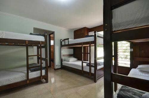 Ivy Hostel