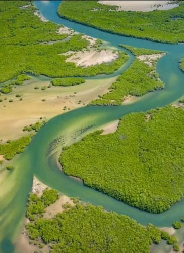 Cerca de lugares turísticos, Résidence Le Marlodj (Residence Le Marlodj) in Ndangane