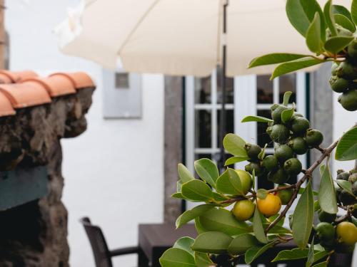 Casita - your home in Flores in ลาเชสดาสฟลอเรส