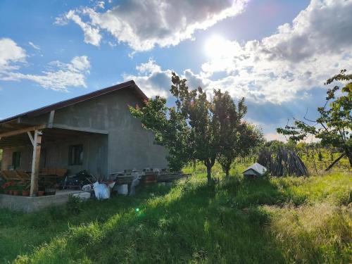 Holiday home with vineyard and city view in เทอร์นูเซเวอริน