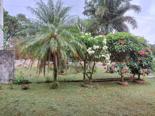 Casa de Nivia in Dolega