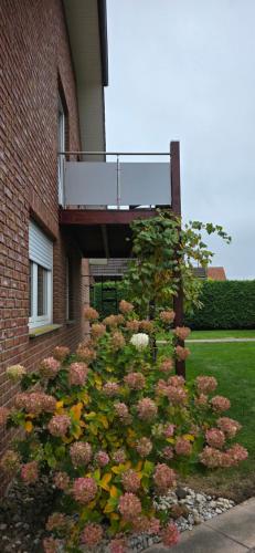 สวน, Wohnung für Monteure und beruflich Reisende (Wohnung fur Monteure und beruflich Reisende) in ปีเตอร์สฮาเกน