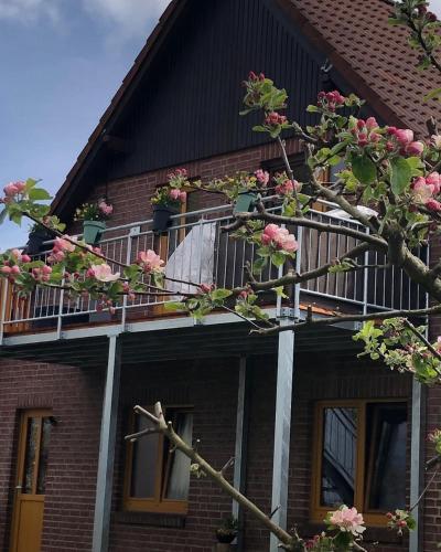 Ferienwohnung Kalle in Osterbruch, Deutschland