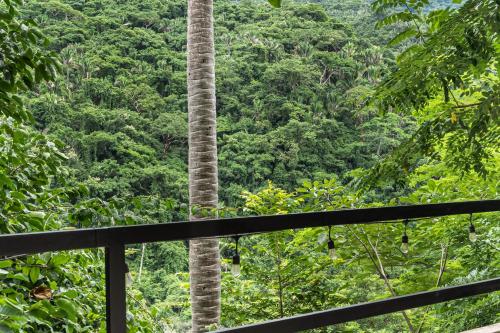 Ecosoul Casa Azul Cuale in Puerto Vallarta, Mexico