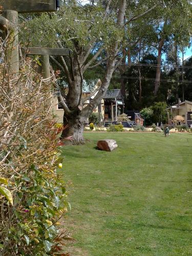 The Olive House Tasmania in Boat Harbour