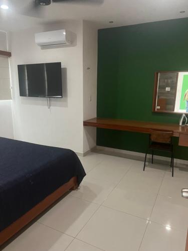 Departamentos Polanco in Sta Lucia