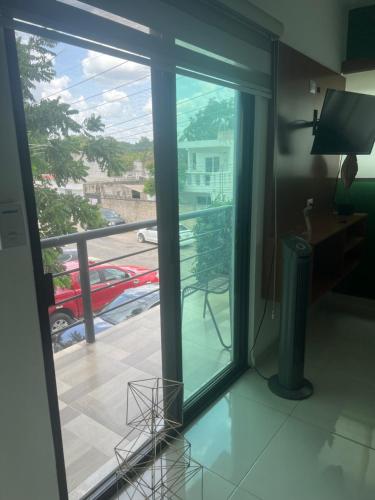 Departamentos Polanco in Sta Lucia