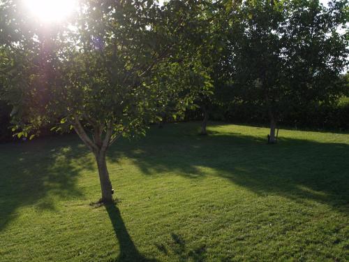 정원, Salesi in 메갈로폴리스