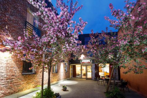Hotel Bern by Rikas Hotels, Tallin (zdjęcie 5)