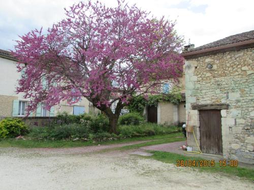 Hotel Le Relais du Chateau - image 9