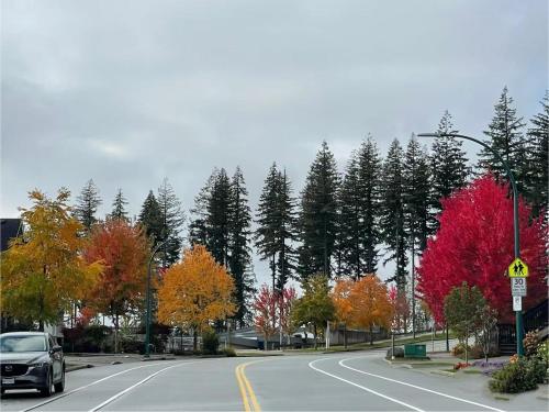 Quiet and spacious private suite & separate bathroom in Coquitlam, Canada