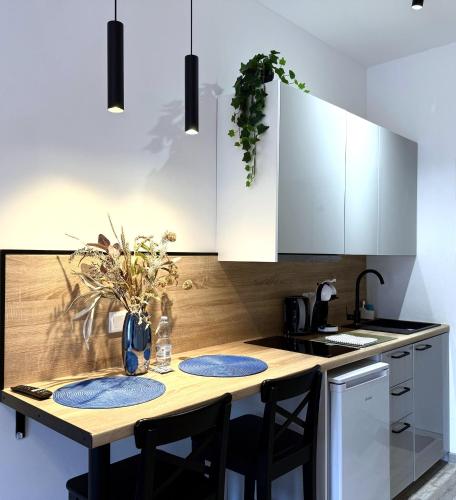 theApartments Radwańska 2
