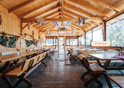 公共休息室/电视室, Vila Anisoara in 普雷代亚尔