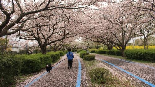 一棟貸民泊西戸崎駅前