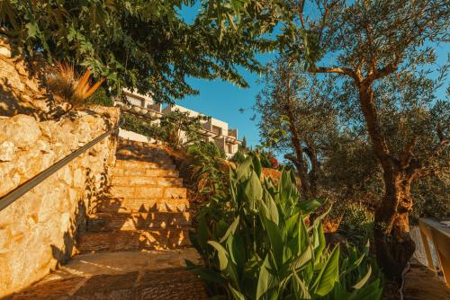 Sivota Deamaris Luxury Boutique Hotel - Adults Only 16 plus in Syvota