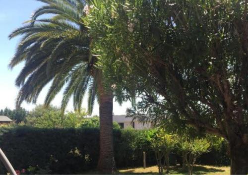 Jardin-Marin-Ajaccio gîte à louer Plage du Ricanto