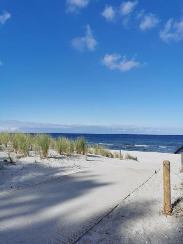 Sevärdhet i närheten, UNSERE BARRIEREFREIE PERLE im Bernsteinhaus Zingst - 1 - in Zingst