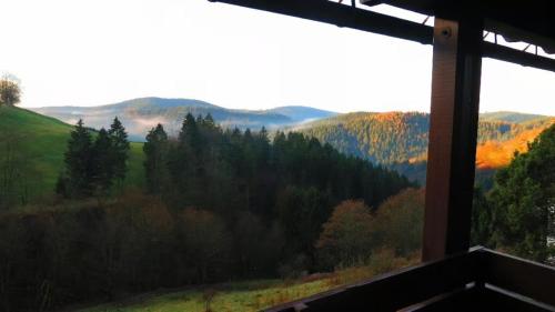 Ferienwohnung am Glockenberg Sankt Andreasberg Harz in Sankt Andreasberg, Deutschland