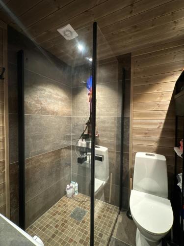 Moderne leilighet på Glomsrud Golsfjellet vest (Moderne leilighet pa Glomsrud Golsfjellet vest) in Hemsedal