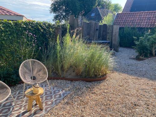 Van Egmond suites Mr Blue Sky in 't Zand