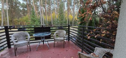 Niron Marina Szalonego Greka in 博爾內蘇利諾禾