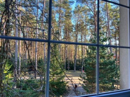 Niron Marina Szalonego Greka in 博爾內蘇利諾禾