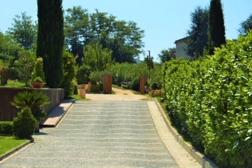 Agriturismo San Martino - image 5