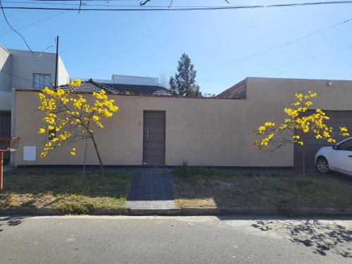 La Casa de los Arboles