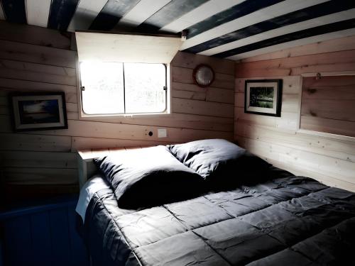 Unterkunft von außen, Toue Cabanée Au Bord D'un Etang (Toue Cabanee Au Bord D'un Etang) in Brissac-Quincé