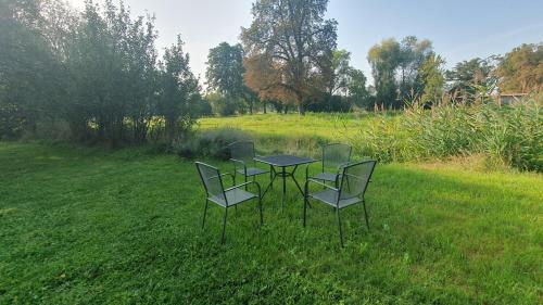 Cozy 2-room apartment in Drahnsdorf