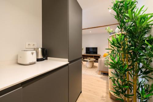 Acogedora vivienda en La Latina, una de las zonas más emblemáticas del centro de Madrid ENC132 (Acogedora vivienda en La Latina, una de las zonas mas emblematicas del centro de Madrid ENC132) in لافابيز