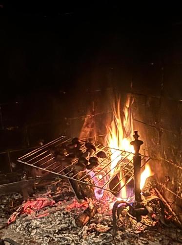  hilltop villa garden with great views in Poggio Catino