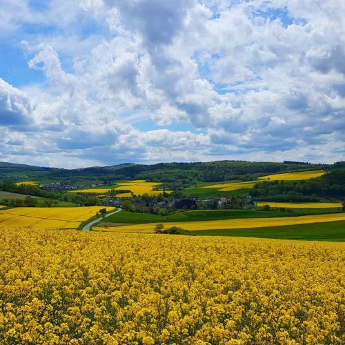 Surrounding environment, Ferienwohnung Himmel, Wald & Wiese in Weilrod