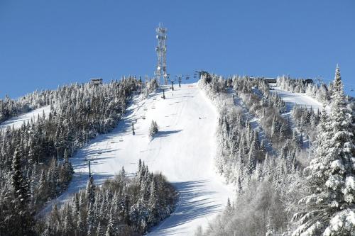 Woodland - Terrace - Fire pit - 15min Tremblant in 拉康塞普雄(QC)