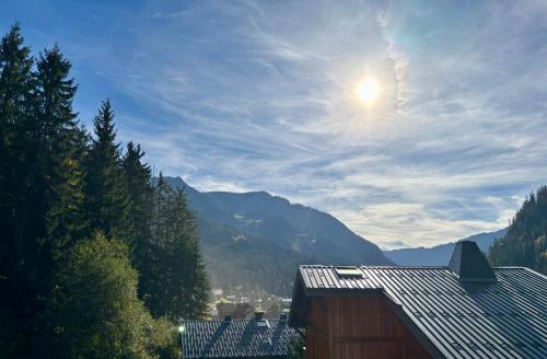Duplex Alpin à Châtel - Proche du centre - image 3