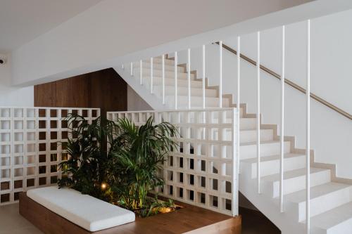 Portiani Suites in Milos Island