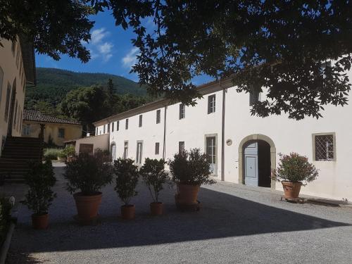  Agriturismo Il Frantoio Di Colle Alberto, Montale bei Bovecchio