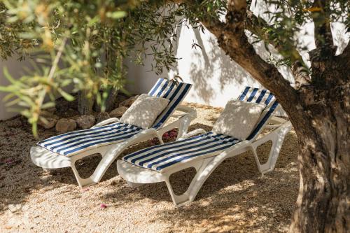 Villa Las Salinas by Abahana Villas - image 3