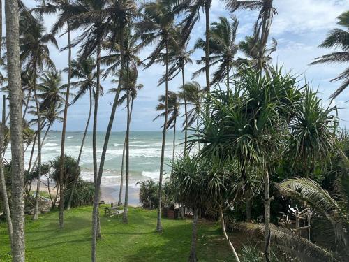 View, Surf Dine in Matara